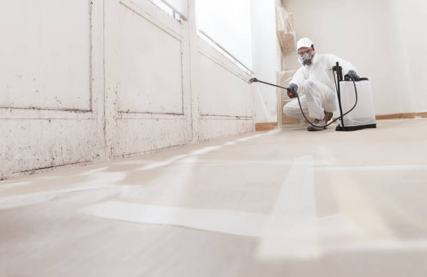 Black mold remediation team in Lafayette